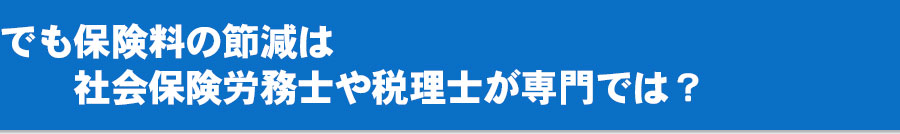 でも保険料の節減は社会保険労務士や税理士が専門では？