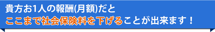 貴方お1人の報酬(月額)だと、ここまで社会保険料を下げることが出来ます！