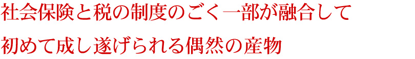 社会保険と税の制度のごく一部が融合して初めて成し遂げられる偶然の産物