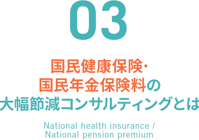 03. 国民健康保険･国民年金保険料の大幅節減コンサルティングとは